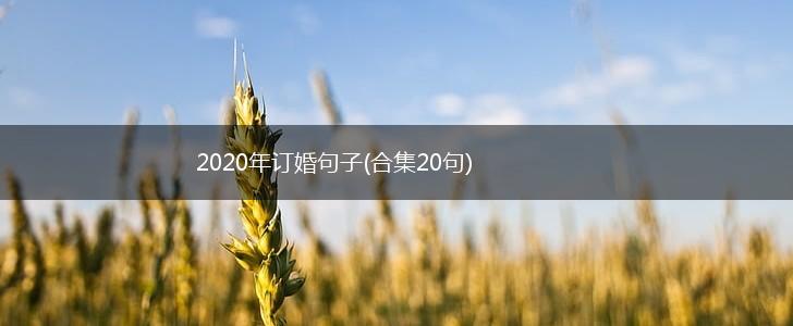 2020年订婚句子(合集20句),第1张