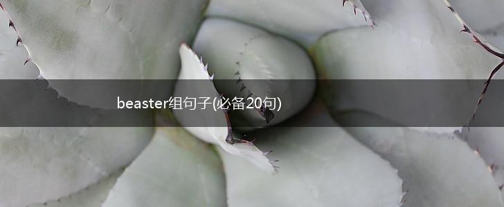 beaster组句子(必备20句),第1张