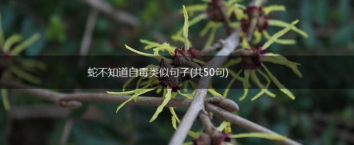 蛇不知道自毒类似句子(共50句),第1张