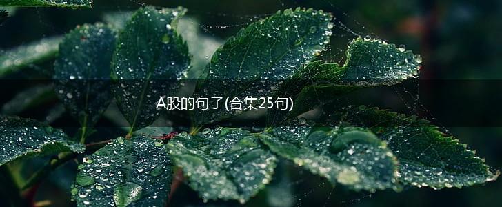 A股的句子(合集25句),第1张