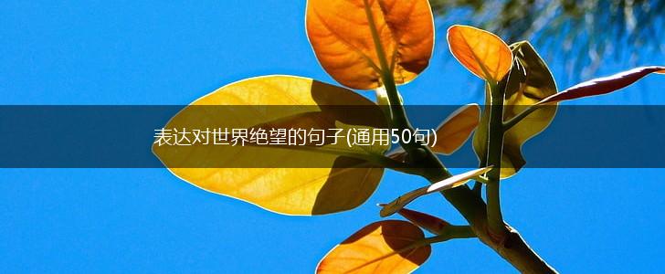 表达对世界绝望的句子(通用50句),第1张