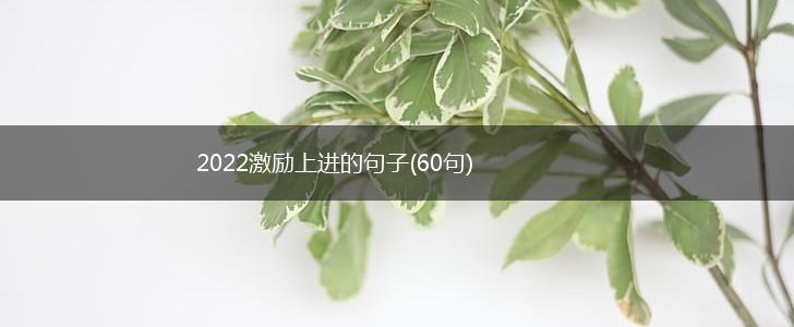 2022激励上进的句子(60句),第1张