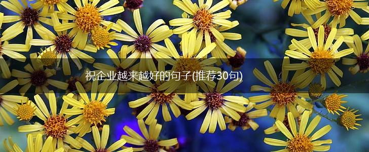 祝企业越来越好的句子(推荐30句),第1张