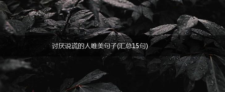 讨厌说谎的人唯美句子(汇总15句),第1张