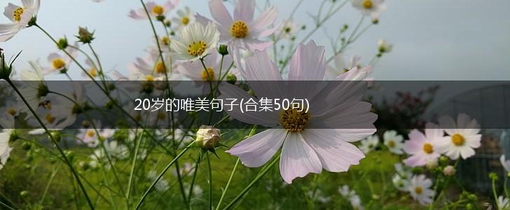 20岁的唯美句子(合集50句),第1张