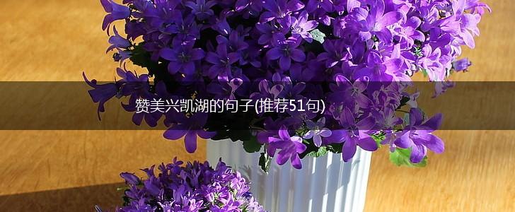 赞美兴凯湖的句子(推荐51句),第1张
