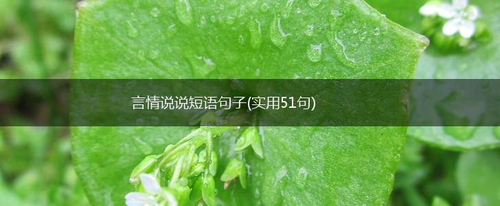 言情说说短语句子(实用51句),第1张