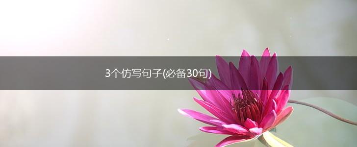 3个仿写句子(必备30句),第1张