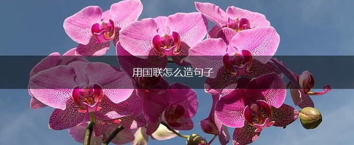 用国联怎么造句子,第1张