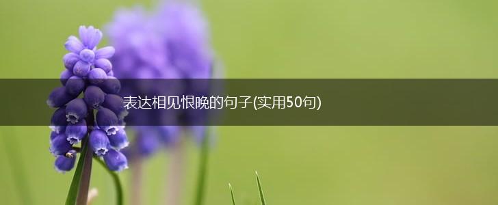 表达相见恨晚的句子(实用50句),第1张