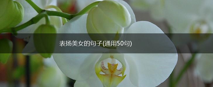 表扬美女的句子(通用50句),第1张