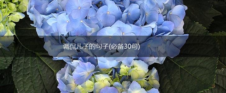 调侃儿子的句子(必备30句),第1张