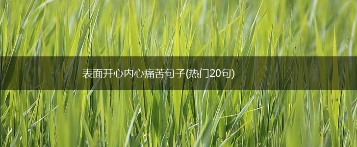 表面开心内心痛苦句子(热门20句),第1张
