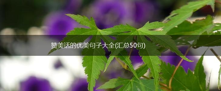 赞美话的优美句子大全(汇总50句),第1张