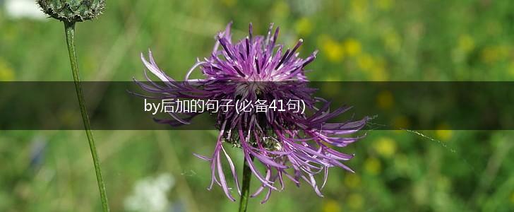 by后加的句子(必备41句),第1张