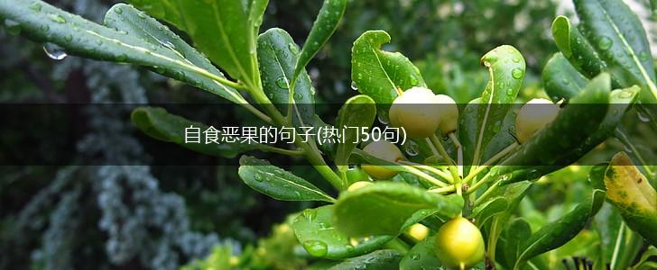 自食恶果的句子(热门50句),第1张