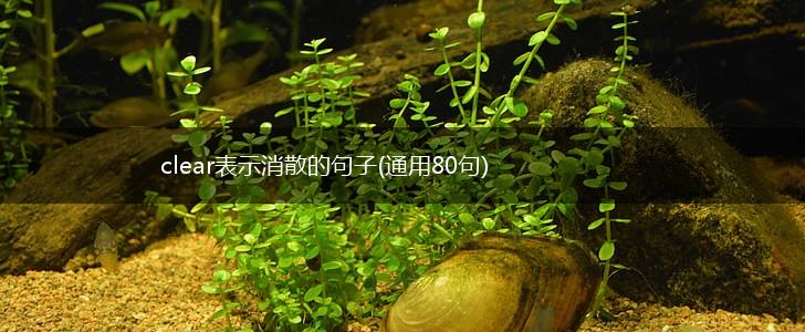 clear表示消散的句子(通用80句),第1张