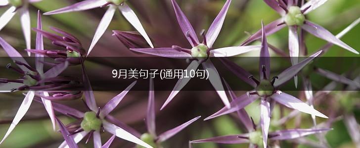 9月美句子(通用10句),第1张