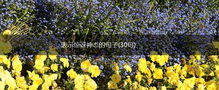 表示惊讶神态的句子(30句),第1张