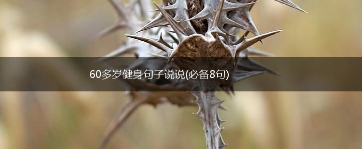 60多岁健身句子说说(必备8句),第1张