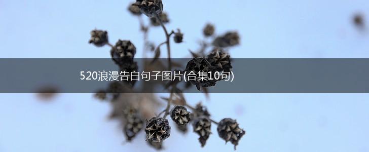 520浪漫告白句子图片(合集10句),第1张