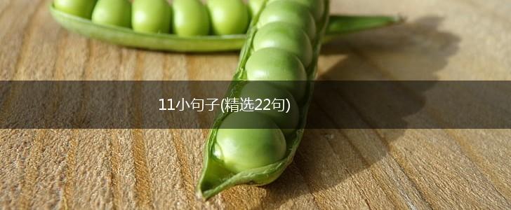 11小句子(精选22句),第1张