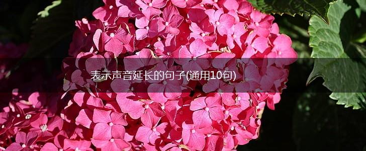 表示声音延长的句子(通用10句),第1张