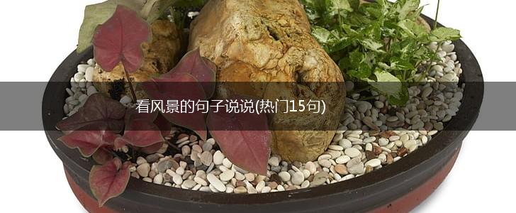看风景的句子说说(热门15句),第1张