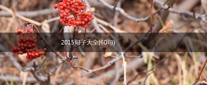 2015句子大全(60句),第1张
