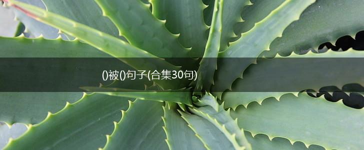 ()被()句子(合集30句),第1张