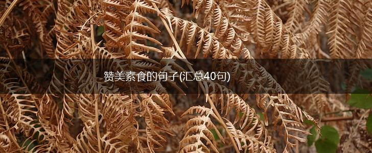 赞美素食的句子(汇总40句),第1张