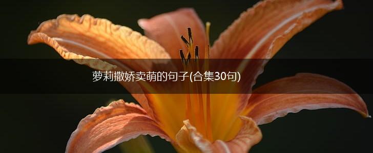 萝莉撒娇卖萌的句子(合集30句),第1张