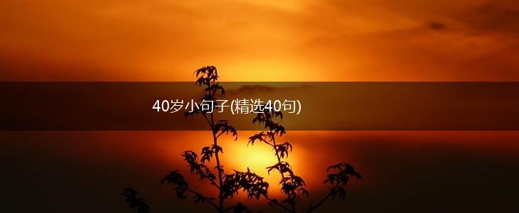 40岁小句子(精选40句),第1张
