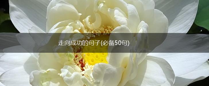 走向成功的句子(必备50句),第1张