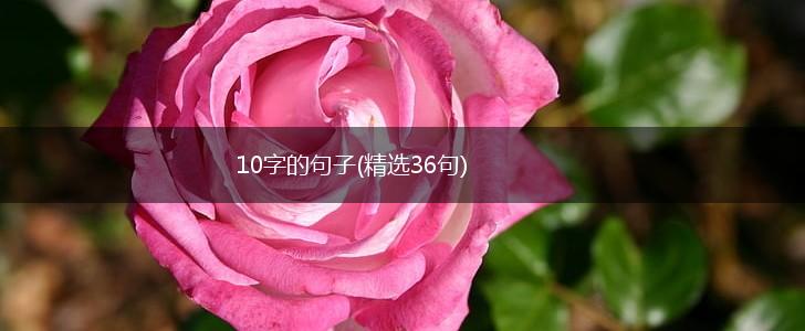10字的句子(精选36句),第1张