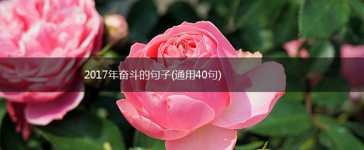 2017年奋斗的句子(通用40句),第1张