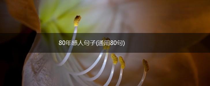 80年感人句子(通用80句),第1张