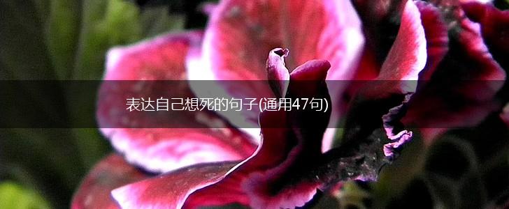 表达自己想死的句子(通用47句),第1张