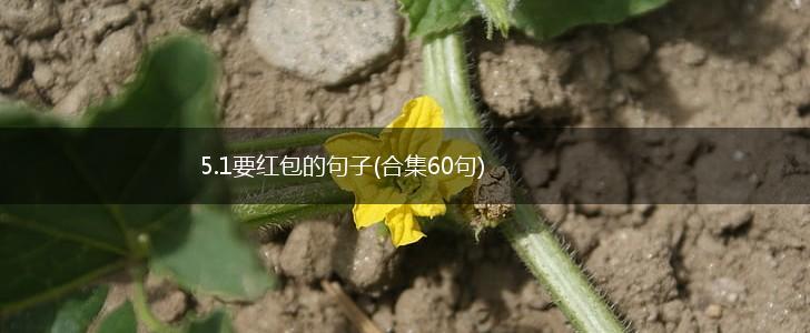 5.1要红包的句子(合集60句),第1张