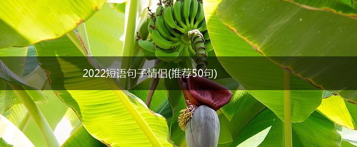 2022短语句子情侣(推荐50句),第1张