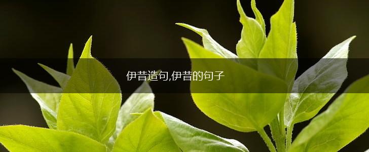 伊昔造句,伊昔的句子,第1张