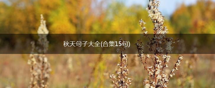秋天句子大全(合集15句),第1张
