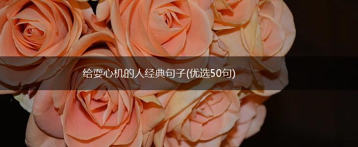 给耍心机的人经典句子(优选50句),第1张
