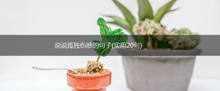 说说孤独伤感的句子(实用20句),第1张