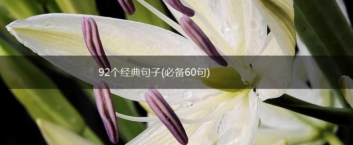 92个经典句子(必备60句),第1张