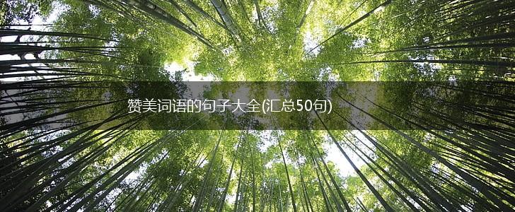 赞美词语的句子大全(汇总50句),第1张