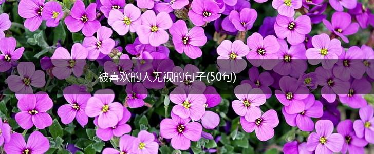被喜欢的人无视的句子(50句),第1张