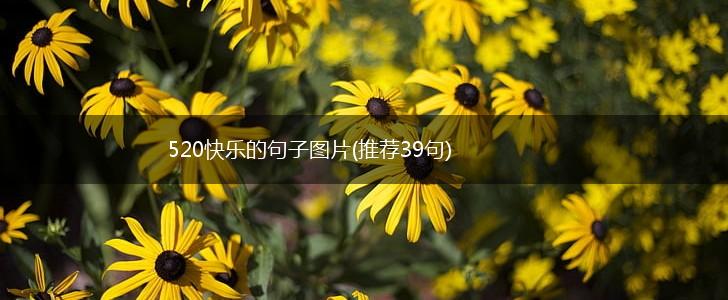 520快乐的句子图片(推荐39句),第1张