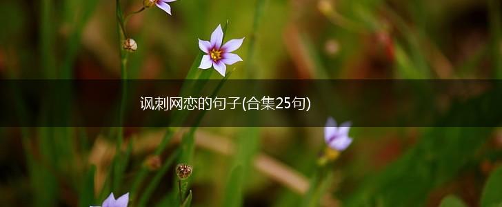 讽刺网恋的句子(合集25句),第1张