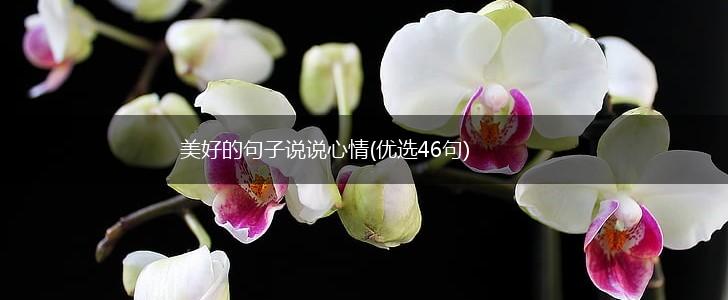美好的句子说说心情(优选46句),第1张